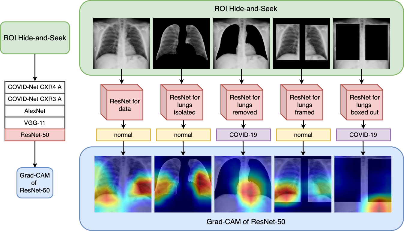 Validating deep learning inference during chest X-ray classification for COVID-19 screening
